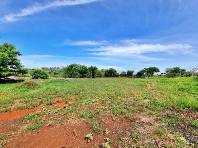 Terreno comercial para Locação em Ribeirão Preto/SP Vila Virgínia