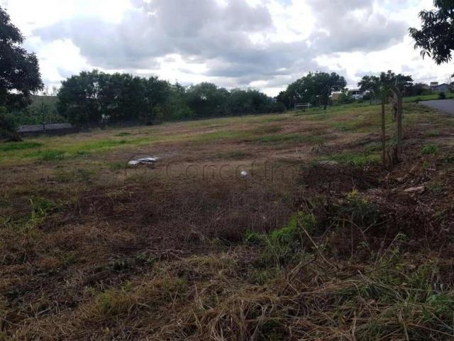 Terreno comercial para Locação em Ribeirão Preto/SP Vila Virgínia