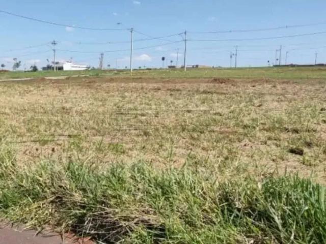 Terreno comercial para Locação em São Carlos/SP Monjolinho