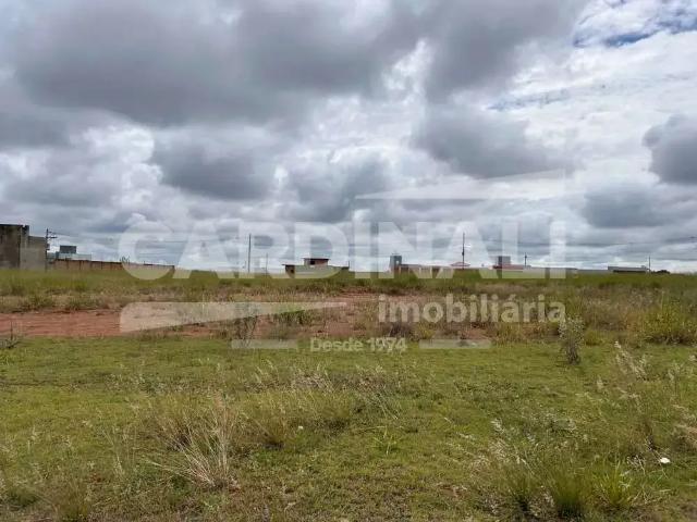 Terreno comercial para Locação em São Carlos/SP Residencial Arcoville