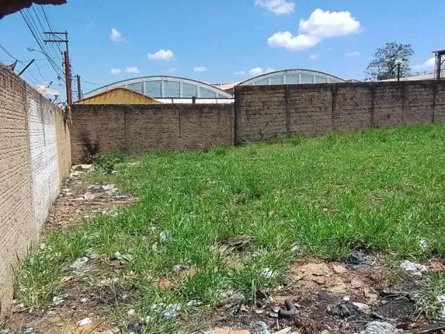 Terreno comercial para Locação em São Carlos/SP Vila Izabel
