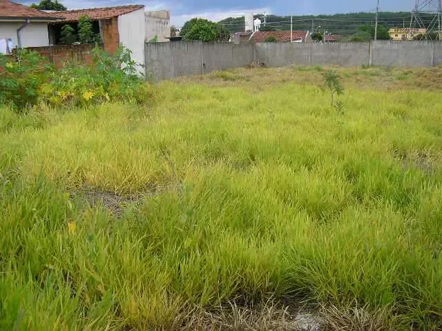 Terreno comercial para Locação em São Carlos/SP Vila Morumbi