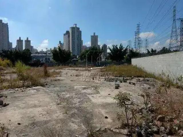 Terreno comercial para Locação em São Bernardo do Campo/SP Vila Vivaldi