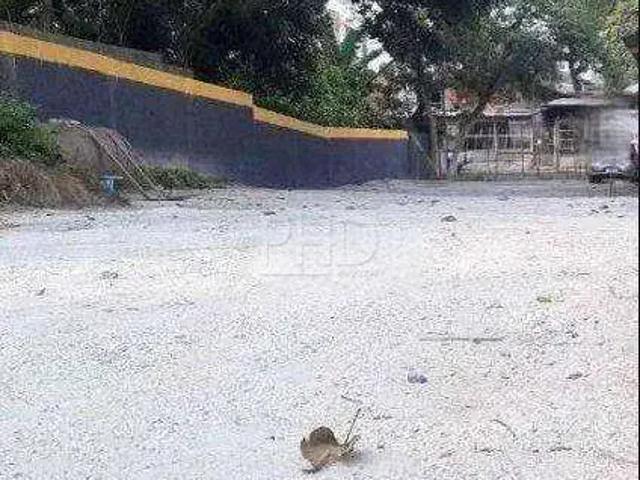 Terreno comercial para Locação em São Bernardo do Campo/SP Batistini