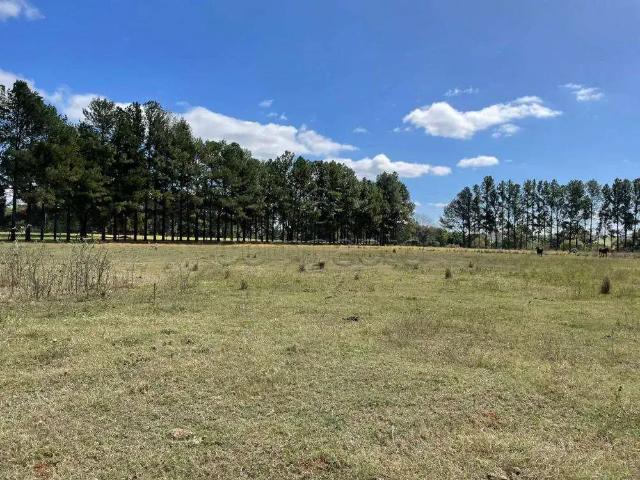 Terreno comercial para Locação em São José do Rio Preto/SP Vila Azul Zona Rural