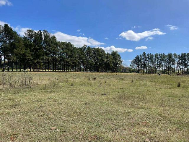 Terreno comercial para Locação em São José do Rio Preto/SP Vila Azul Zona Rural