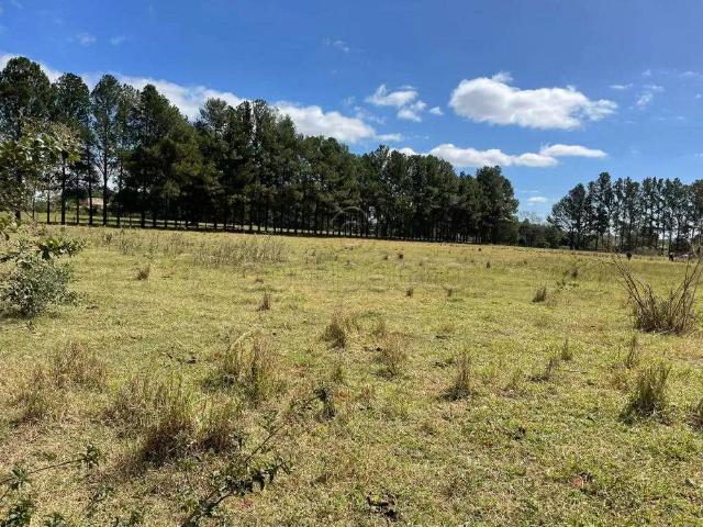 Terreno comercial para Locação em São José do Rio Preto/SP Vila Azul Zona Rural