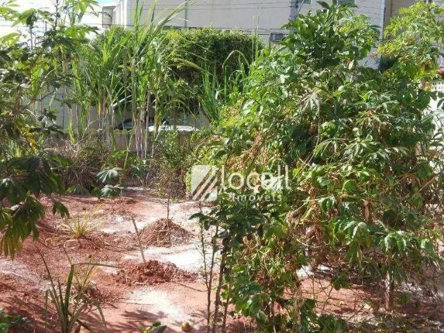 Terreno comercial para Locação em São José do Rio Preto/SP Vila Elvira