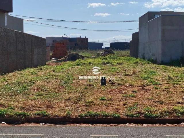 Terreno comercial para Locação em São José do Rio Preto/SP Vila São Jorge