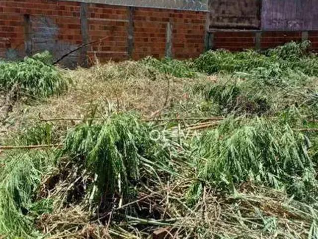 Terreno comercial para Locação em São José do Rio Preto/SP Jardim Maracanã