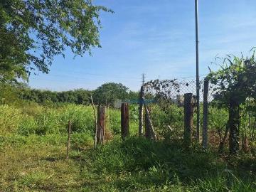 Terreno comercial para Locação em São José dos Campos/SP Eugênio de Mello