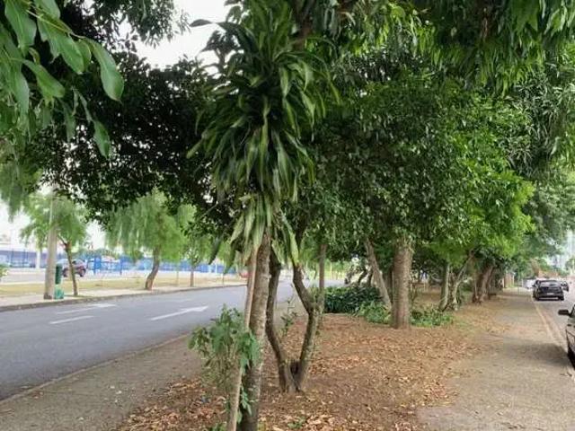 Terreno comercial para Locação em São José dos Campos/SP Jardim América