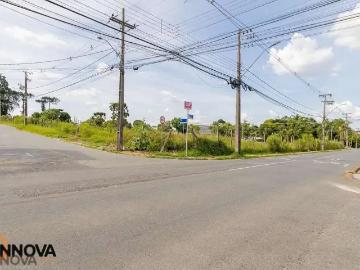 Terreno comercial para Locação em São José dos Pinhais/PR Boneca do Iguaçu 1 Quartos