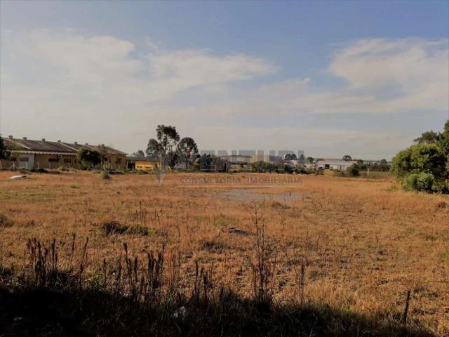 Terreno comercial para Locação em São José dos Pinhais/PR Boneca do Iguaçu