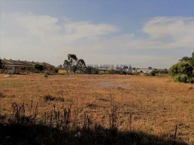 Terreno comercial para Locação em São José dos Pinhais/PR Boneca do Iguaçu