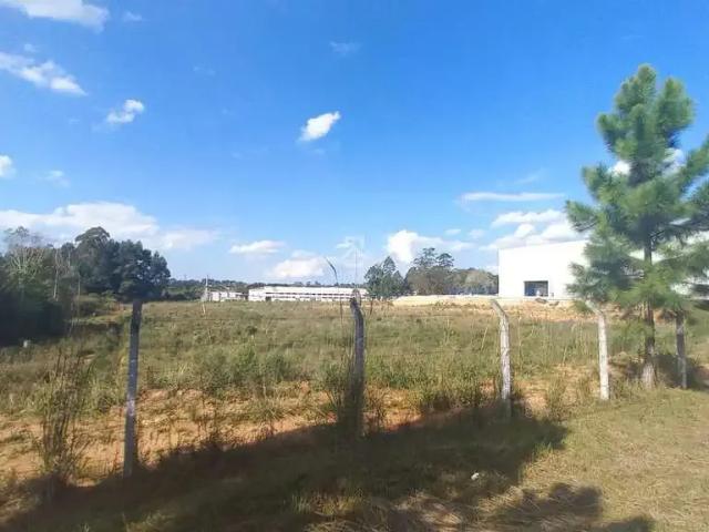Terreno comercial para Locação em São José dos Pinhais/PR Campo Largo da Roseira