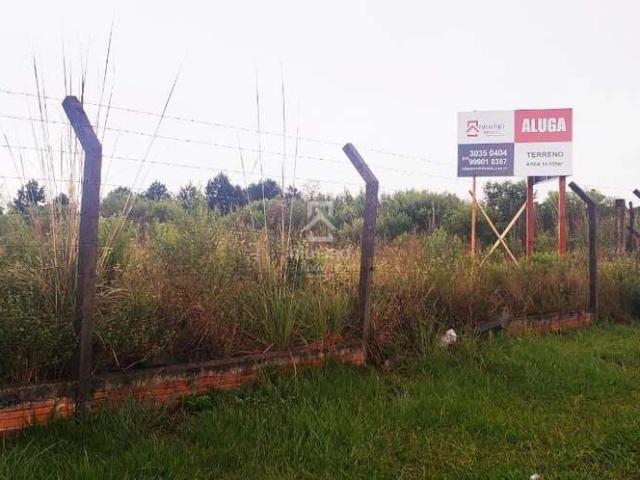 Terreno comercial para Locação em São José dos Pinhais/PR Colônia Murici