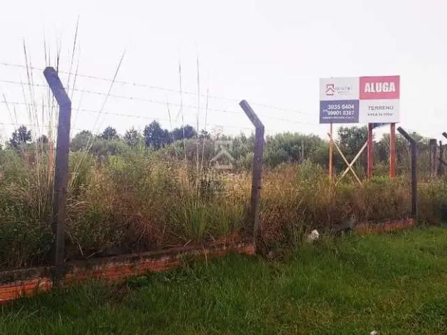 Terreno comercial para Locação em São José dos Pinhais/PR Colônia Murici