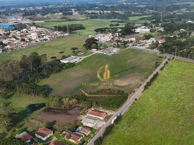 Terreno comercial para Locação em São José dos Pinhais/PR Costeira