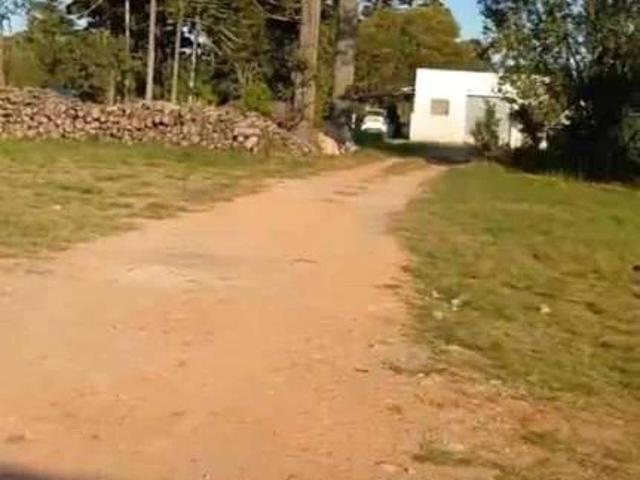 Terreno comercial para Locação em São José dos Pinhais/PR Costeira