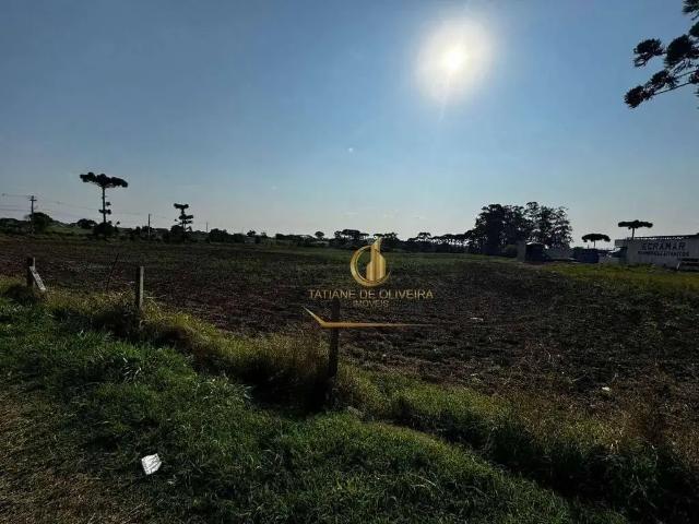 Terreno comercial para Locação em São José dos Pinhais/PR Costeira