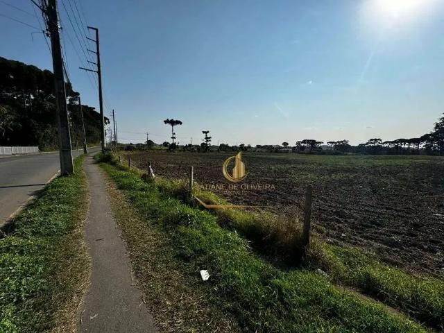 Terreno comercial para Locação em São José dos Pinhais/PR Costeira