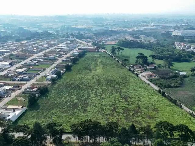 Terreno comercial para Locação em São José dos Pinhais/PR Costeira