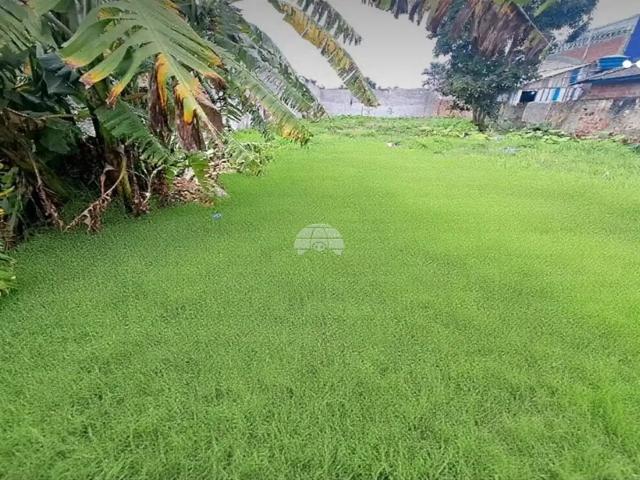 Terreno comercial para Locação em São José dos Pinhais/PR Guatupê 1 Quartos