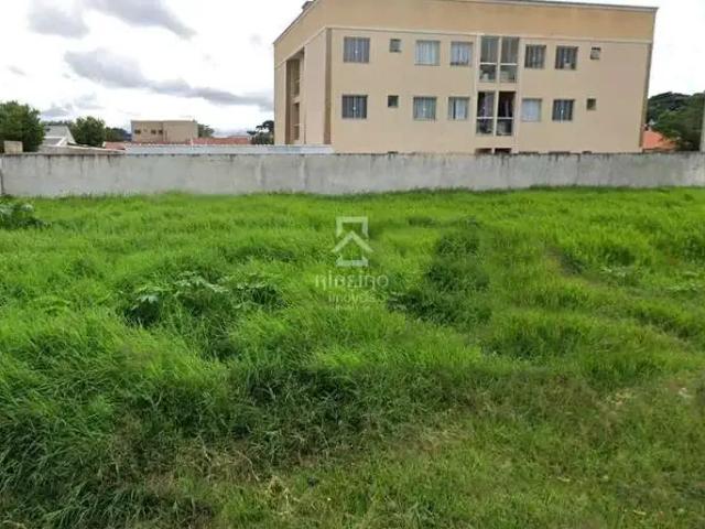 Terreno comercial para Locação em São José dos Pinhais/PR Guatupê