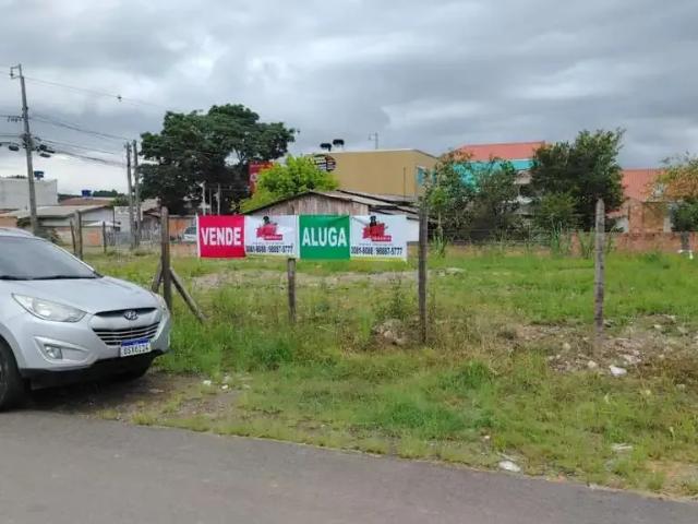 Terreno comercial para Locação em São José dos Pinhais/PR Guatupê