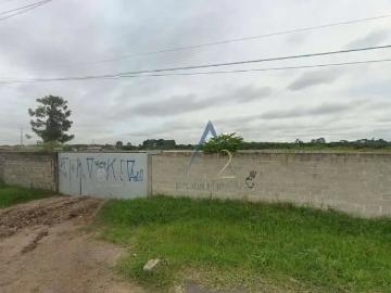 Terreno comercial para Locação em São José dos Pinhais/PR Guatupê