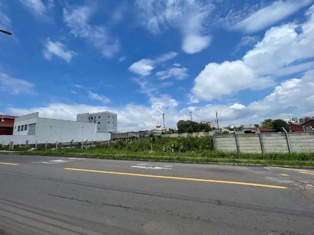 Terreno comercial para Locação em São José dos Pinhais/PR Itália