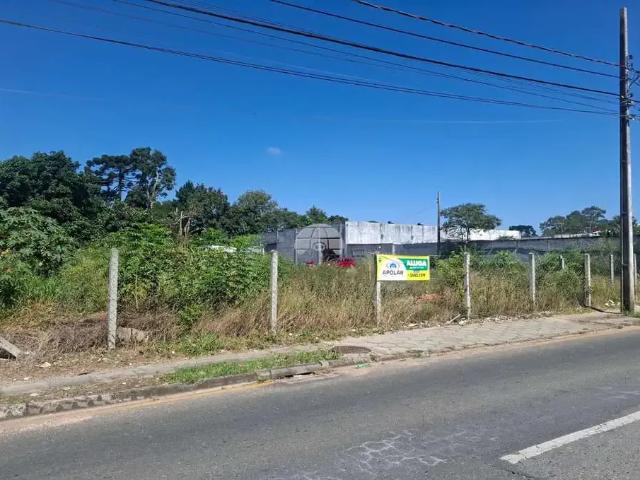 Terreno comercial para Locação em São José dos Pinhais/PR Iná
