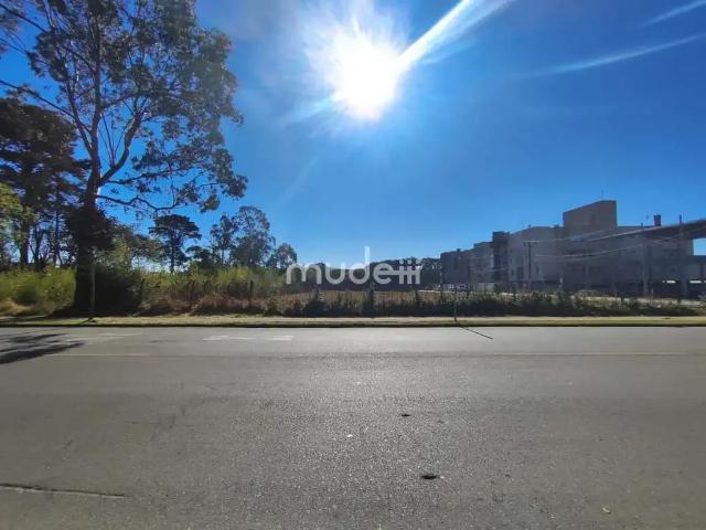 Terreno comercial para Locação em São José dos Pinhais/PR Iná