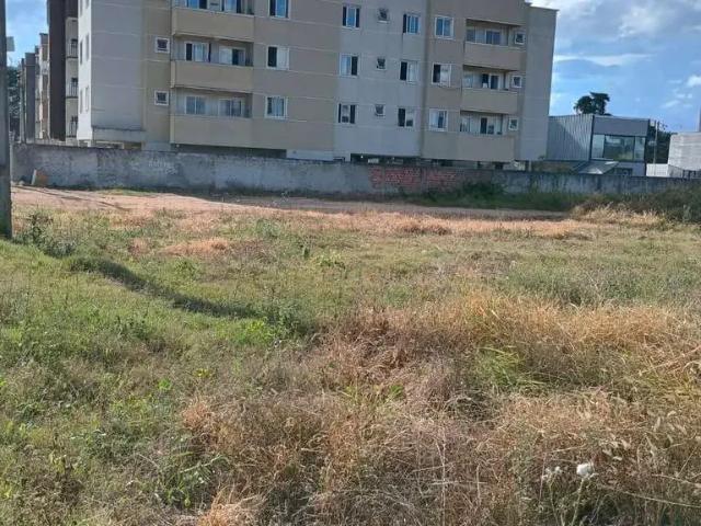 Terreno comercial para Locação em São José dos Pinhais/PR Iná