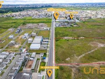 Terreno comercial para Locação em São José dos Pinhais/PR Ipê