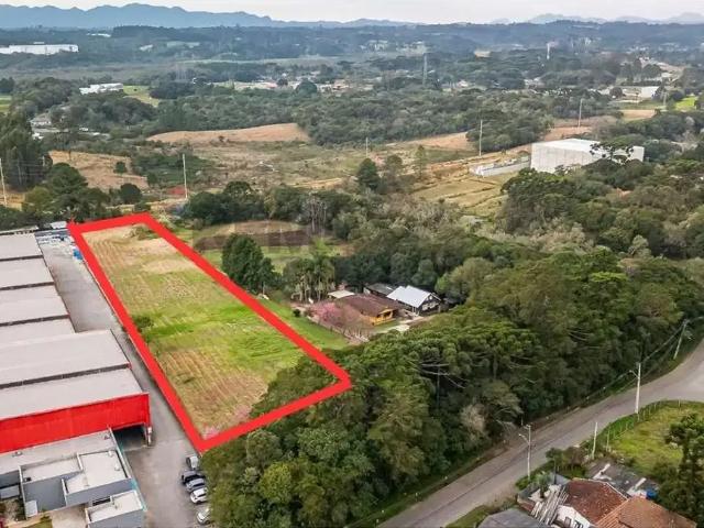 Terreno comercial para Locação em São José dos Pinhais/PR Jurema