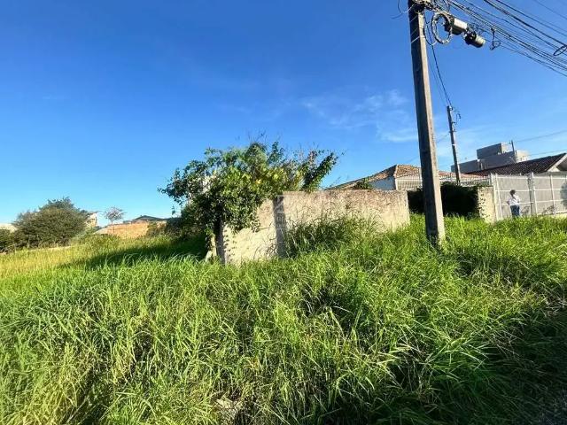 Terreno comercial para Locação em São José dos Pinhais/PR Parque da Fonte
