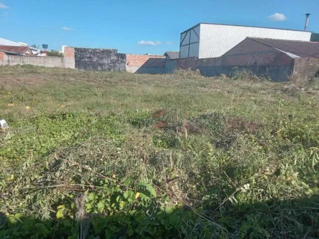 Terreno comercial para Locação em São José dos Pinhais/PR Parque da Fonte