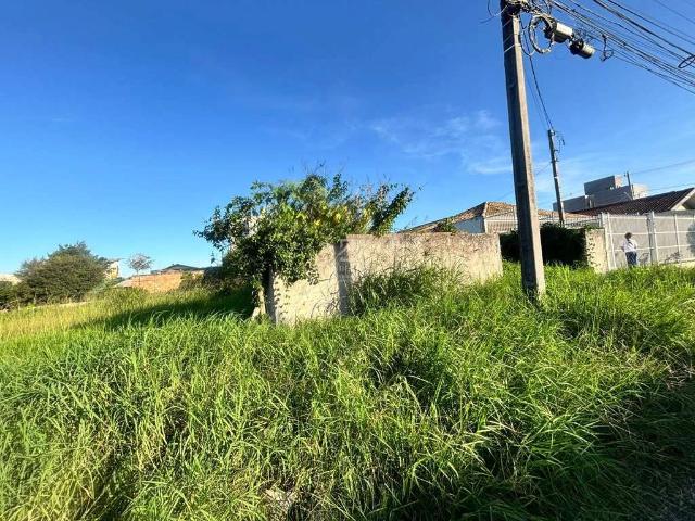 Terreno comercial para Locação em São José dos Pinhais/PR Parque da Fonte