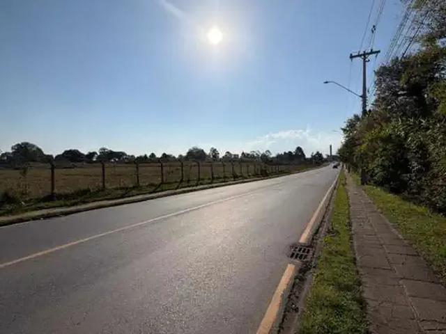 Terreno comercial para Locação em São José dos Pinhais/PR Rio Pequeno