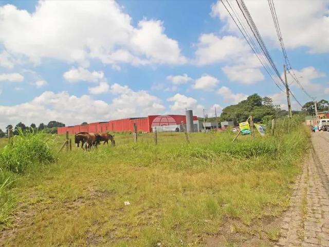 Terreno comercial para Locação em São José dos Pinhais/PR Rio Pequeno