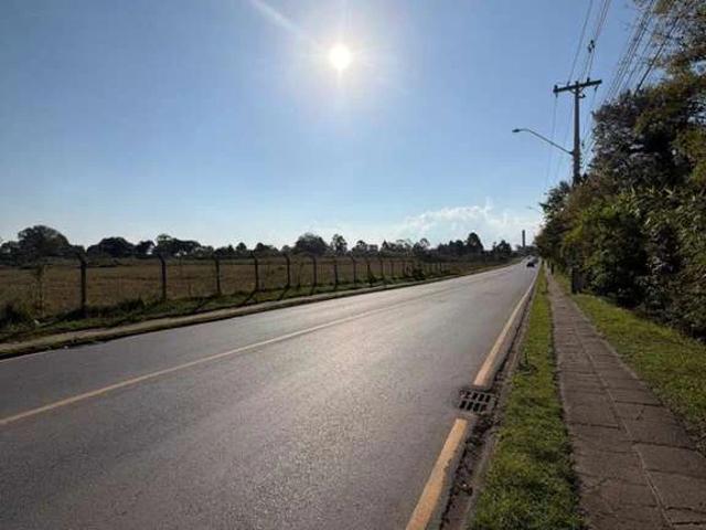 Terreno comercial para Locação em São José dos Pinhais/PR Rio Pequeno