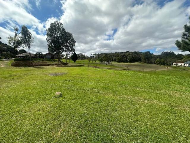 Terreno comercial para Locação em São José dos Pinhais/PR São Marcos 1 Quartos