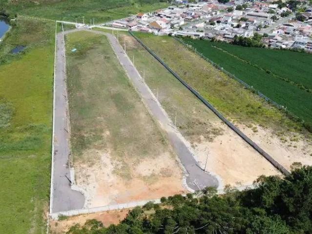 Terreno comercial para Locação em São José dos Pinhais/PR São Marcos