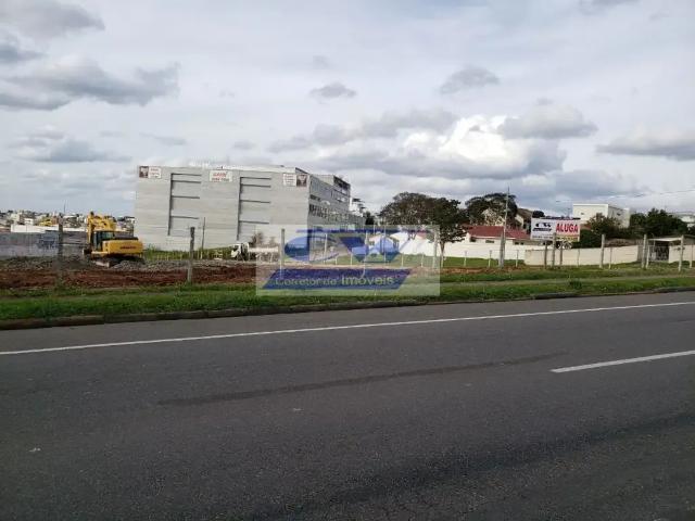 Terreno comercial para Locação em São José dos Pinhais/PR Três Marias