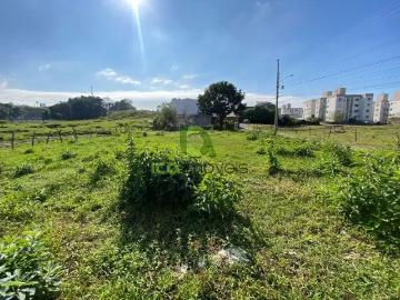 Terreno comercial para Locação em São José/SC Areias