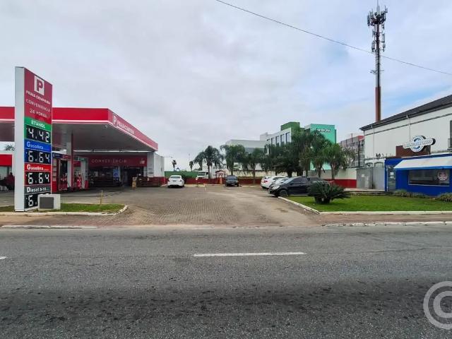 Terreno comercial para Locação em São José/SC Praia Comprida