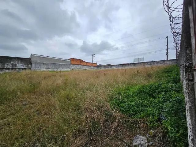 Terreno comercial para Locação em São José/SC Real Parque