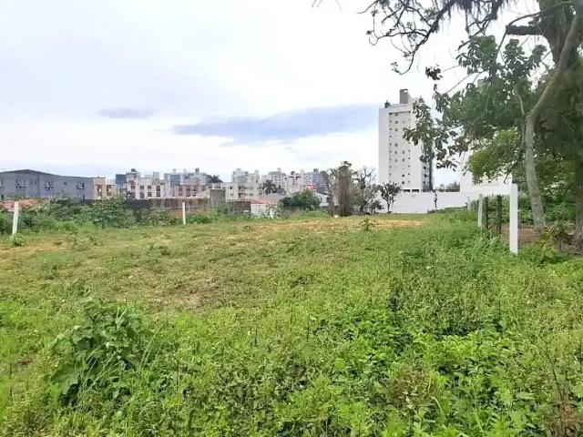 Terreno comercial para Locação em São José/SC Roçado